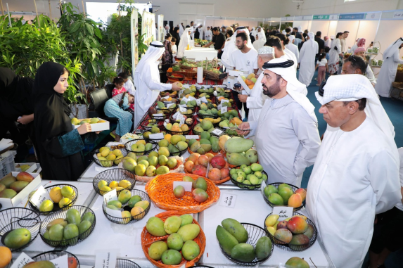 مهرجان "المانجو 2024" يختتم نسخته الثالثة بنجاح مستقطبًا عشرة آلاف زائر